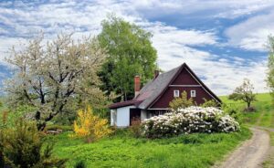 Home surrounded by trees