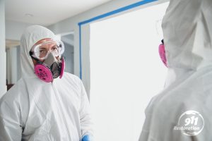 Mold Removal in Northern Michigan