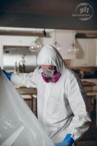 Mold Removal in Northern Michigan